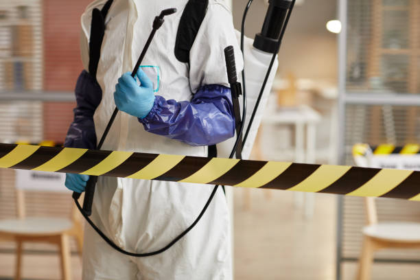 Professional Odor Removal technician working in Portage Des Sioux, MO